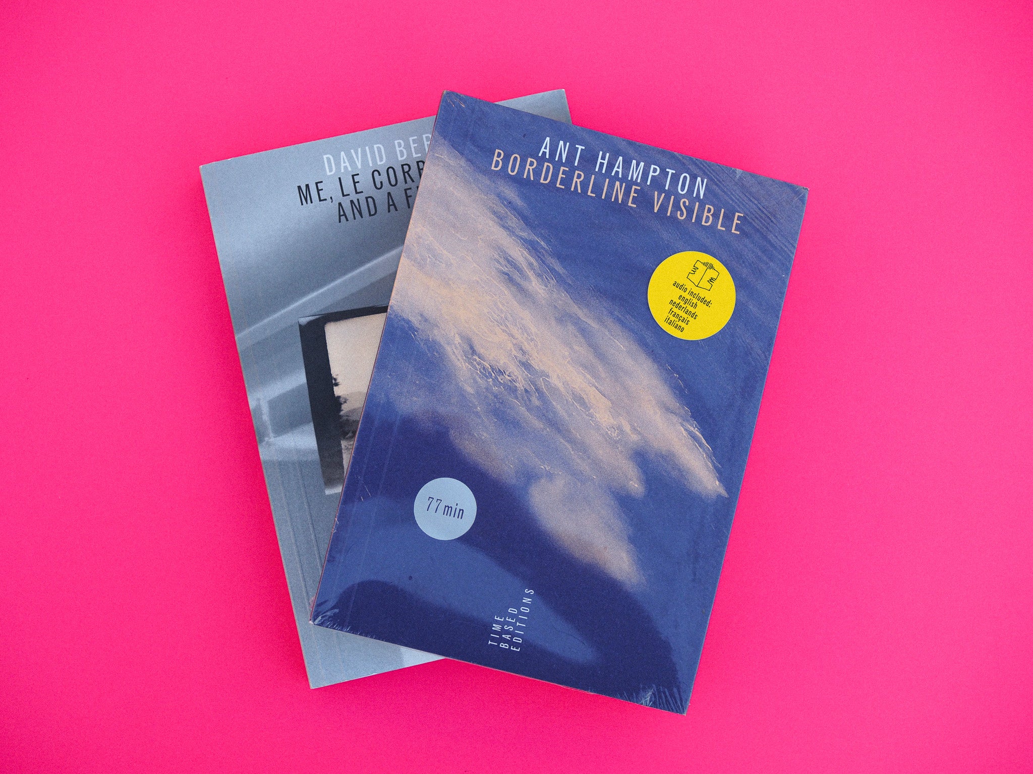 Borderline Visible - Ant Hampton